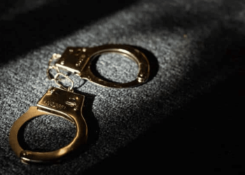 German Authorities Confiscate 50,000 BTC Worth $2 Billion From Illegal Movie Site