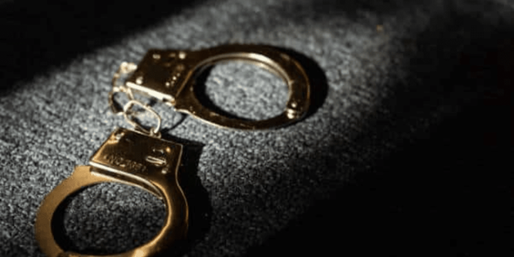 German Authorities Confiscate 50,000 BTC Worth $2 Billion From Illegal Movie Site