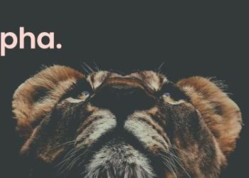 Claim Launchpad XYZ LPX Token January 31, V1 Platform Live in February For 14,000% ROI