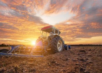 Agriculture Market Forecast: Top Trends That Will Affect Potash and Phosphate in 2024