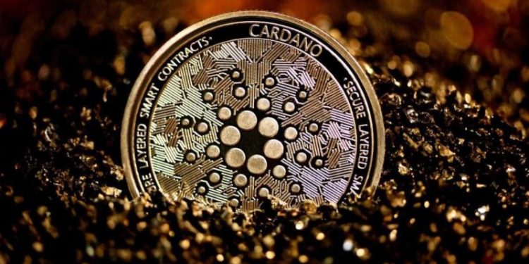 Cardano’s Price Dips Below $0.50 Level – Time to Buy?
