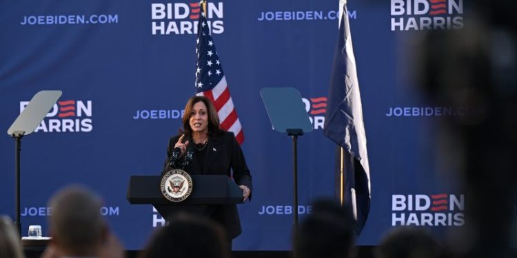 Democrats seek to leverage Alabama embryo ruling in an election year