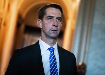 Cotton probes DOD on security risks of Chinese-owned tutoring company for US military families