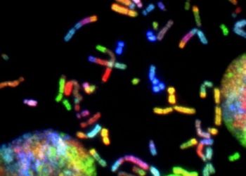 How Will the Inflation Reduction Act Impact the Biotech Industry?