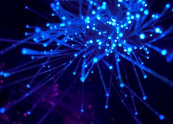 Can You Invest in Elon Musk’s Neuralink?