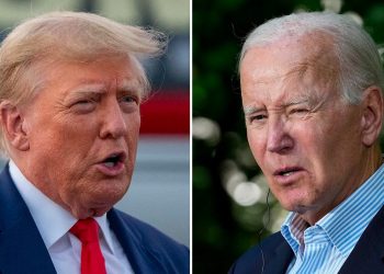 Majority of Americans believe both Biden and Trump are too old for another term: poll