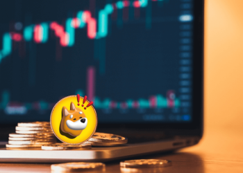 Bonk Price Prediction as $600 Million Trading Volume Floods In – Are Whales Buying?