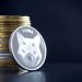 Shiba Inu Price Prediction as SHIB Rockets 226% in a Week – What’s Going On?