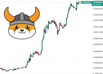 Floki Inu Holders are Migrating To This New Crypto ICO To Hunt For 100x ROI Tokens