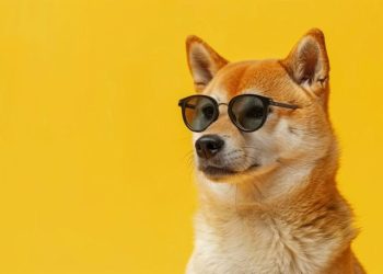 Dogwifhat Drama: Ethereum NFT Auction Sparks Controversy with Solana Community