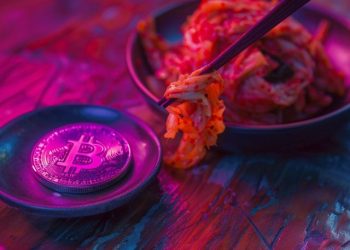 What Causes the Kimchi Premium? South Korean Experts Explain