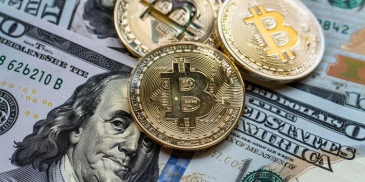 FTX Users Seek Return of Crypto Assets, Not Dollars