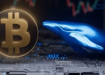 Fifth-Richest Bitcoin Whale Transfers Over $6 Billion in BTC After Years of Dormancy – What’s Going On?