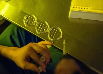 New polls spotlight the GOP’s IVF dilemma