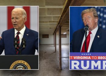 Biden team seeks to pin ‘basement’ campaign reputation on Trump