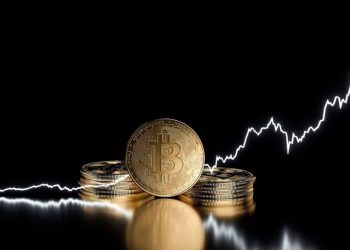 Bitcoin: A Brief Price History of the First Cryptocurrency (Updated 2024)