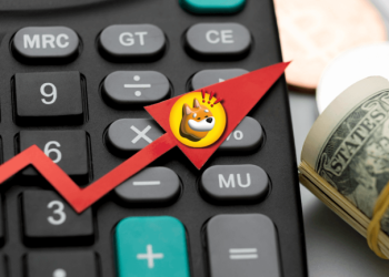 Bonk Price Explosion: Too Late to Join? Another Solana Meme Coin Gains Viral Momentum