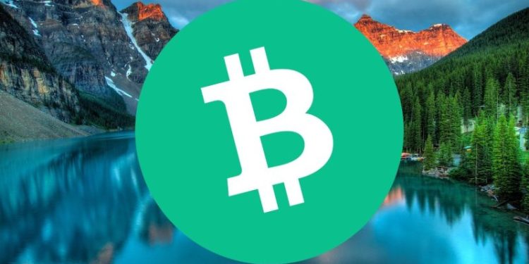 Bitcoin Cash Enthusiasts Shift Funds to New Gambling ICO, Aiming for 1000% Returns
