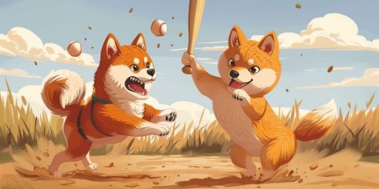 Is Bonk Going to Zero? BONK Price Drops 33% While Rival Solana Meme Coin Snags $10M