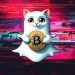 As ‘SNAPCAT’ Goes Viral on Solana and This Dogecoin Rival Just Secured $10 Million in Funding