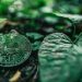 Green Bitcoin Launches on Uniswap DEX April 5, Announces Imminent CEX Listing