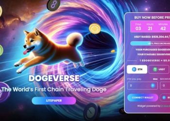 New Multichain Meme Coin Dogeverse Raises $1 Million In Two Days of ICO