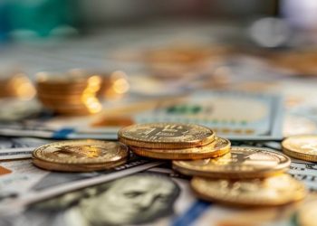 Payment Use Cases Fuel Increasing Stablecoin Growth