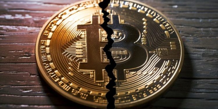 JPMorgan, Deutsche Bank Analysts Do Not Expect BTC Price to Surge Post Halving: Report