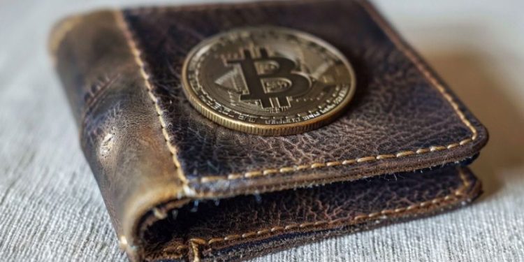 Bitcoin Wallets with $1K Balances Jump 20% Since Start of 2024: Fidelity