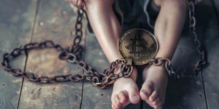 US Senators Warren and Cassidy Push for Action Against Cryptocurrency Use in Child Abuse Trade
