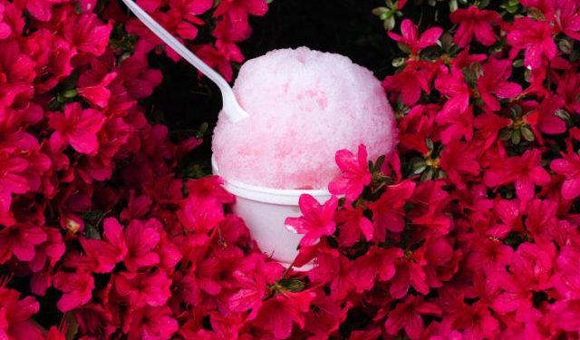 This Missouri city is a prime spot to see the eclipse. It vows not to price-gouge visitors.