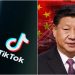 Expert warns of ‘chilling reality’ TikTok threat poses: ‘China’s greatest asymmetric advantage’