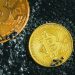 Bitcoin’s Latest Halving is Complete, Here’s What Happened