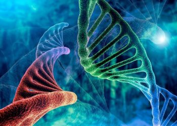 Biotech Stocks: 5 Biggest Companies in 2024