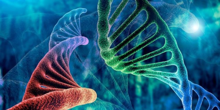 Biotech Stocks: 5 Biggest Companies in 2024