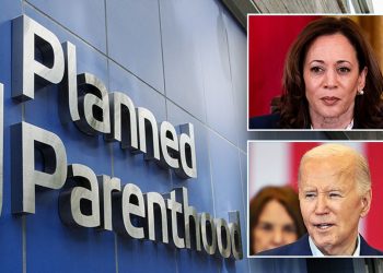 Feds gave $700M to Planned Parenthood during year of record abortions