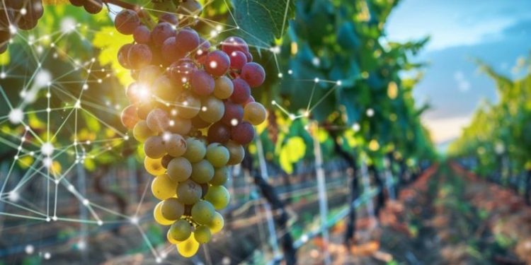 Louis Vuitton-Affiliated Château d’Esclans And BlockBar To Sell $22,000 NFT Rosé Barrel