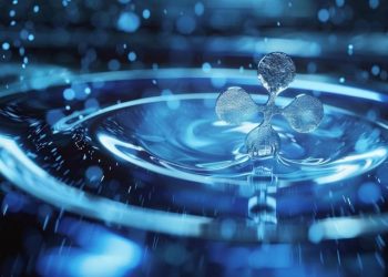 XRP Ledger Sees Over 100% Surge in Transaction Activity Amid Decline in Average Costs