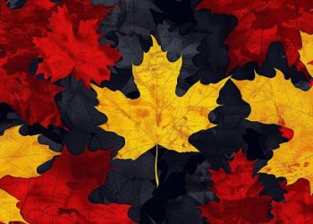 Deutsche Bank Infra Provider Taurus Expands to North America