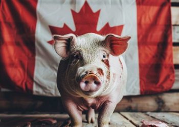 Canada Warns of Rising Pig Butchering and Crypto Investment Scams