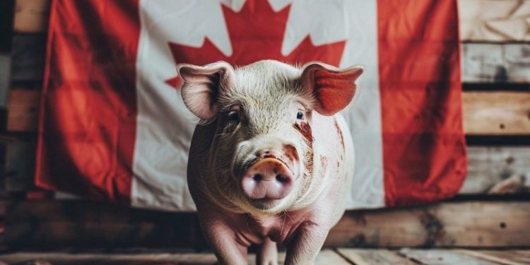 Canada Warns of Rising Pig Butchering and Crypto Investment Scams