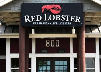 It wasn’t the endless shrimp that doomed Red Lobster. How private equity pinched the seafood chain.