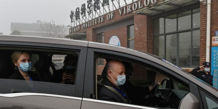 EcoHealth Alliance president to testify on COVID origins, Wuhan lab taxpayer-funded research