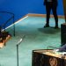 United Nations slammed for holding meeting to honor ‘Butcher of Tehran’: ‘Outright offensive’