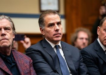 IRS whistleblower Shapley said he ‘could no longer pursue’ Hunter Biden sugar brother Kevin Morris due to CIA