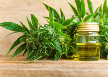 DEA Submits Proposal to Reschedule Cannabis, Stocks Rally