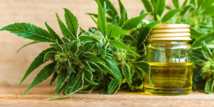 DEA Submits Proposal to Reschedule Cannabis, Stocks Rally