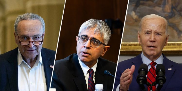 Schumer may let controversial Biden nominee with ‘problematic’ ties quietly expire: expert