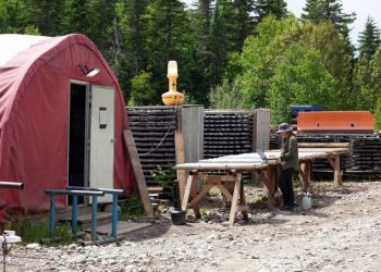 Red Pine Says Former CEO Manipulated Over 500 Wawa Gold Assays