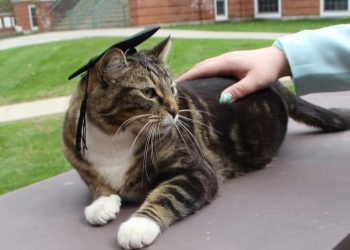 Biden, world leaders and veterans mark D-Day’s 80th anniversary in France